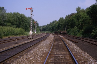 Saint-Vincent-Bellefontaine - THG 84-9817 (2).jpg